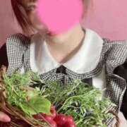 ヒメ日記 2025/01/27 20:14 投稿 伊藤 みな ハレ系 メイドin福岡