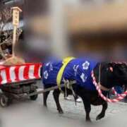 ヒメ日記 2025/03/15 23:37 投稿 伊藤 みな ハレ系 メイドin福岡