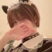 ヒメ日記 2025/07/31 21:00 投稿 伊藤 みな ハレ系 メイドin福岡