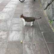 ヒメ日記 2025/08/14 20:44 投稿 伊藤 みな ハレ系 メイドin福岡