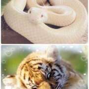 ヒメ日記 2025/01/26 19:42 投稿 みゆ 奥さま未来　立川店