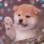 ヒメ日記 2025/01/27 23:57 投稿 みゆ 奥さま未来　立川店