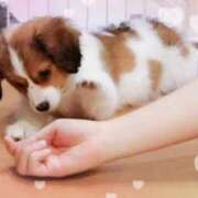 ヒメ日記 2025/02/11 00:45 投稿 みゆ 奥さま未来　立川店