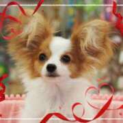 ヒメ日記 2025/02/11 19:16 投稿 みゆ 奥さま未来　立川店