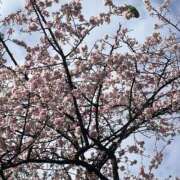 ヒメ日記 2025/03/21 20:01 投稿 みゆ 奥さま未来　立川店