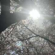 ヒメ日記 2025/04/06 01:03 投稿 みゆ 奥さま未来　立川店