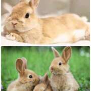 ヒメ日記 2025/04/07 00:50 投稿 みゆ 奥さま未来　立川店