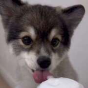 ヒメ日記 2025/04/19 11:34 投稿 みゆ 奥さま未来　立川店