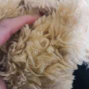 ヒメ日記 2025/04/27 19:28 投稿 みゆ 奥さま未来 立川店