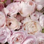 ヒメ日記 2025/05/29 16:01 投稿 みゆ 奥さま未来　立川店