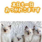 ヒメ日記 2025/06/09 17:55 投稿 みゆ 奥さま未来　立川店