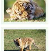 ヒメ日記 2025/07/05 09:26 投稿 みゆ 奥さま未来　立川店