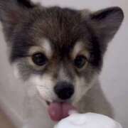 ヒメ日記 2025/09/19 10:51 投稿 みゆ 奥さま未来　立川店