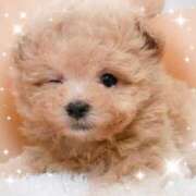 ヒメ日記 2025/11/03 12:53 投稿 みゆ 奥さま未来　立川店