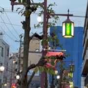 ヒメ日記 2026/09/26 10:34 投稿 みゆ 奥さま未来 立川店