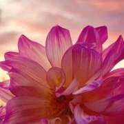 ヒメ日記 2025/03/10 19:10 投稿 つぼみ 越谷熟女デリヘル マダムエプロン