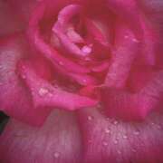 ヒメ日記 2025/05/03 20:03 投稿 つぼみ 越谷熟女デリヘル マダムエプロン