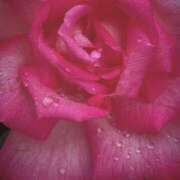 ヒメ日記 2025/05/10 19:18 投稿 つぼみ 越谷熟女デリヘル マダムエプロン