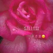 ヒメ日記 2025/05/11 12:59 投稿 つぼみ 越谷熟女デリヘル マダムエプロン