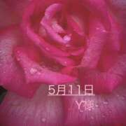 ヒメ日記 2025/05/11 19:34 投稿 つぼみ 越谷熟女デリヘル マダムエプロン