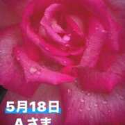 ヒメ日記 2025/05/18 19:10 投稿 つぼみ 越谷熟女デリヘル マダムエプロン