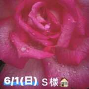 ヒメ日記 2025/06/01 19:10 投稿 つぼみ 越谷熟女デリヘル マダムエプロン