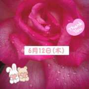 ヒメ日記 2025/06/12 19:09 投稿 つぼみ 越谷熟女デリヘル マダムエプロン