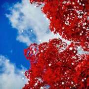 ヒメ日記 2025/10/09 17:00 投稿 つぼみ 越谷熟女デリヘル マダムエプロン