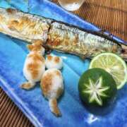 つぼみ 次のお知らせ✨ 明日、11月15日(土) 10時から✨️✨ 越谷熟女デリヘル マダムエプロン