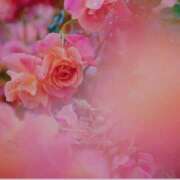 ヒメ日記 2025/12/26 17:50 投稿 つぼみ 越谷熟女デリヘル マダムエプロン