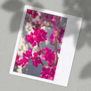 ヒメ日記 2026/01/12 21:00 投稿 つぼみ 越谷熟女デリヘル マダムエプロン