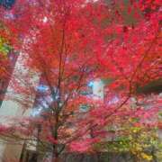 ヒメ日記 2024/12/18 10:48 投稿 さな 奥様の実話 梅田店