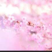 ヒメ日記 2025/03/11 13:20 投稿 さな 奥様の実話 梅田店