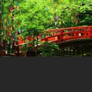 ヒメ日記 2025/07/07 19:03 投稿 さな 奥様の実話 梅田店