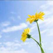 ヒメ日記 2025/07/29 07:29 投稿 さな 奥様の実話 梅田店