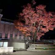 らむ 楽しんだもん勝ち✌ 吉原ファーストレディ