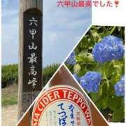 ヒメ日記 2025/07/08 13:38 投稿 東京ニシナ 大阪★出張マッサージ委員会