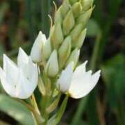 ヒメ日記 2025/01/14 08:34 投稿 さえ 人妻倶楽部 内緒の関係 大宮店