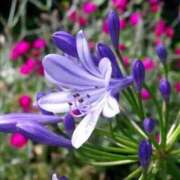 ヒメ日記 2025/06/19 08:34 投稿 さえ 人妻倶楽部 内緒の関係 大宮店