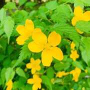 ヒメ日記 2026/04/30 13:44 投稿 さえ 人妻倶楽部 内緒の関係 大宮店