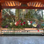 ヒメ日記 2025/01/05 10:00 投稿 そのか ハピネス東京