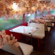 ヒメ日記 2026/04/03 05:38 投稿 そのか ハピネス東京