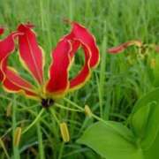 ヒメ日記 2024/12/18 08:44 投稿 さえ 人妻倶楽部 内緒の関係 川越店