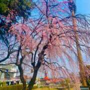 ヒメ日記 2025/03/25 13:24 投稿 さえ 人妻倶楽部 内緒の関係 川越店