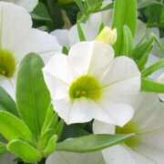 ヒメ日記 2025/06/20 09:44 投稿 さえ 人妻倶楽部 内緒の関係 川越店