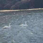 ヒメ日記 2026/02/07 20:28 投稿 さえ 人妻倶楽部 内緒の関係 川越店