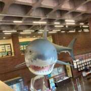 ヒメ日記 2026/03/24 20:28 投稿 さえ 人妻倶楽部 内緒の関係 川越店