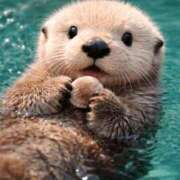 ヒメ日記 2026/04/12 20:18 投稿 さえ 人妻倶楽部 内緒の関係 川越店