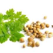 ヒメ日記 2026/04/14 09:28 投稿 さえ 人妻倶楽部 内緒の関係 川越店