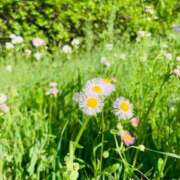 ヒメ日記 2026/04/21 09:26 投稿 さえ 人妻倶楽部 内緒の関係 川越店